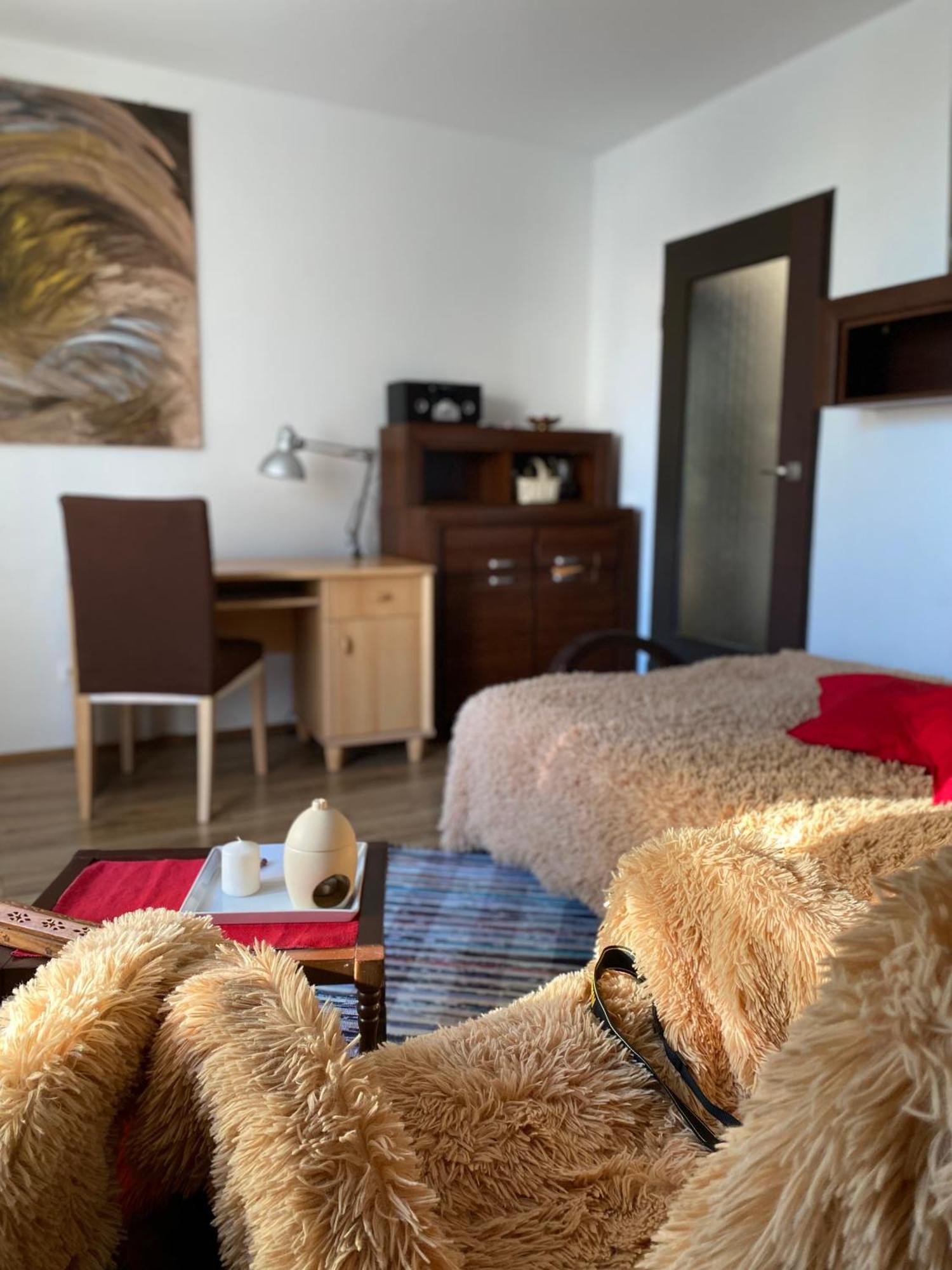 Apartament Noc Z Obrazem - Balkon - Warszawa Praga Apartment Warsaw